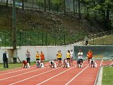PICT0988.JPG