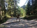 IMG_7651