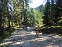 IMG_7745